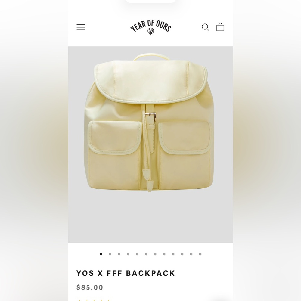 NWT✨ Youth of Ours lightweight nylon backpack - Picture 2 of 10